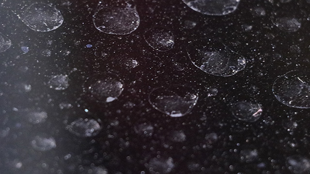 ウォータースポット対策のコーティング施工