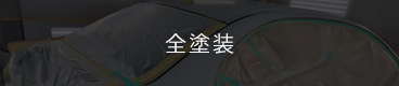 全塗装